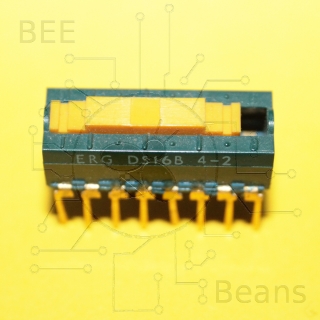 ERG-DS16B